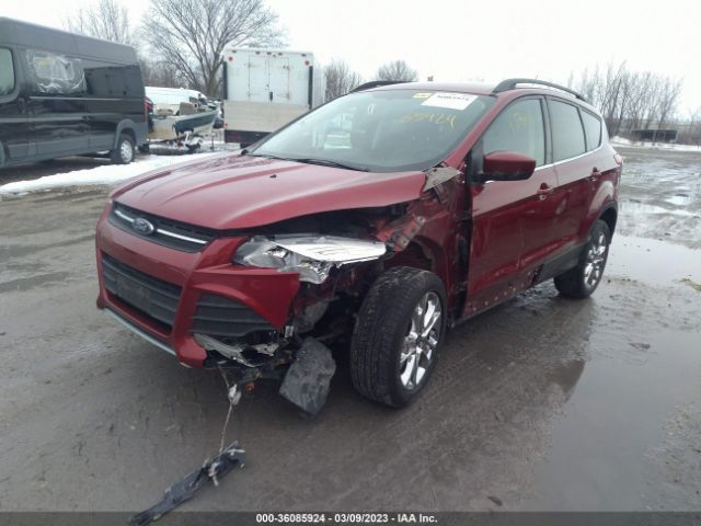 1FMCU9G95EUA67876 Ford ESCAPE SE