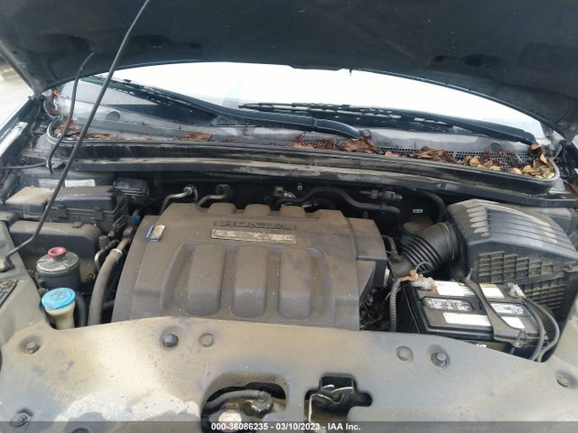 2006 HONDA ODYSSEY EX-L VIN: 5FNRL38776B431463