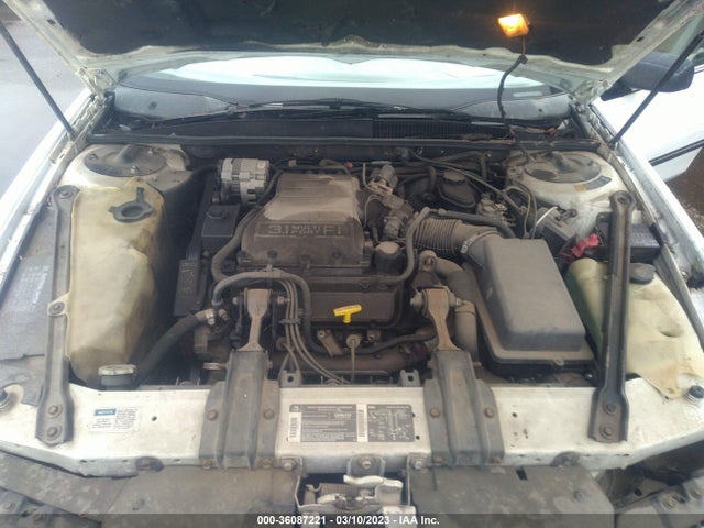 1993 CHEVROLET LUMINA EURO VIN: 2G1WN54TXP9243983