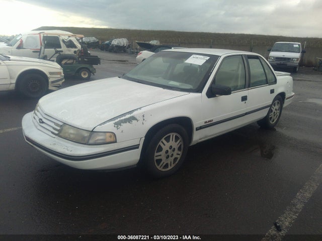 1993 CHEVROLET LUMINA EURO VIN: 2G1WN54TXP9243983