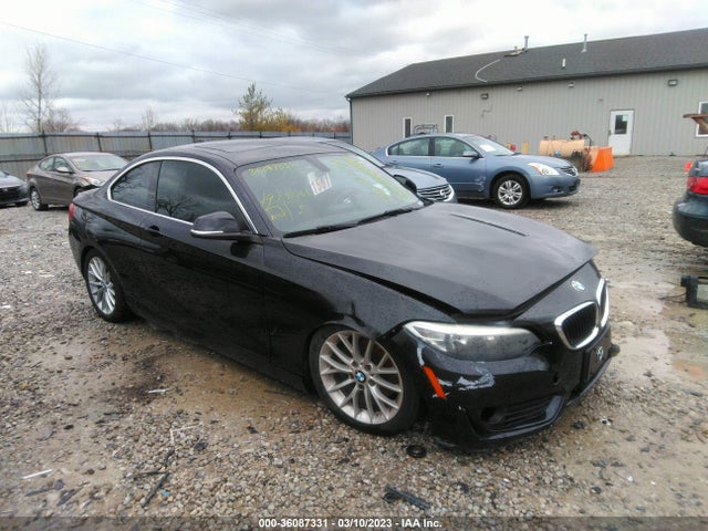 2014 BMW 2 Series, VIN: WBA1F5C50EVV99254