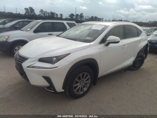2019 Lexus NX, VIN: JTJBARBZ2K2183234