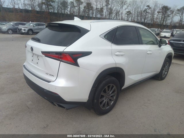 2019 Lexus NX, VIN: JTJBARBZ2K2183234