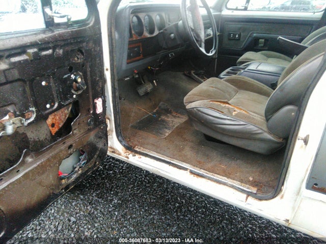 1993 DODGE W-SERIES W200/W250 VIN: 3B7KM23C4PM137156