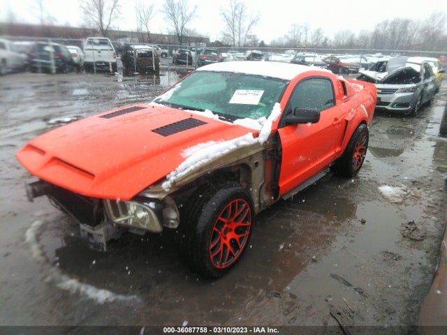 2005 FORD MUSTANG GT VIN: 1ZVHT82H955146562