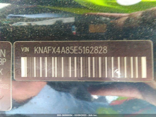 KNAFX4A85E5162828 KIA FORTE EX