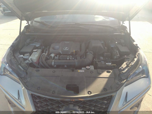2020 Lexus NX, VIN: JTJSARDZ0L2234552