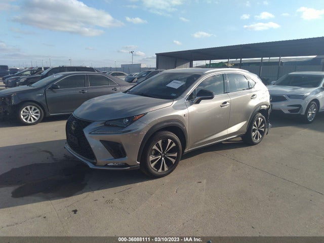 2020 Lexus NX, VIN: JTJSARDZ0L2234552