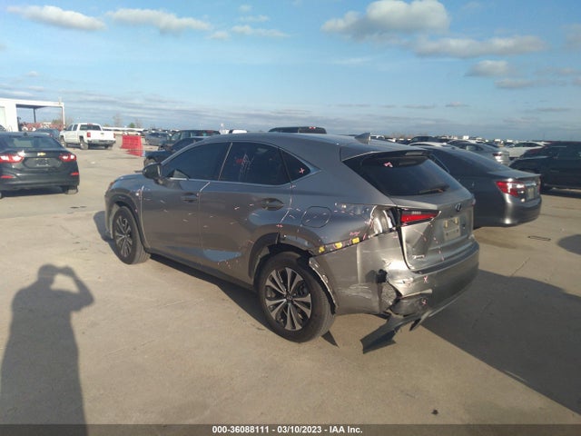 2020 Lexus NX, VIN: JTJSARDZ0L2234552