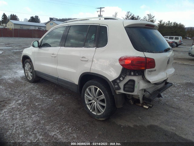 Volkswagen Tiguan 2013 WVGBV3AXXDW619419 Image 4