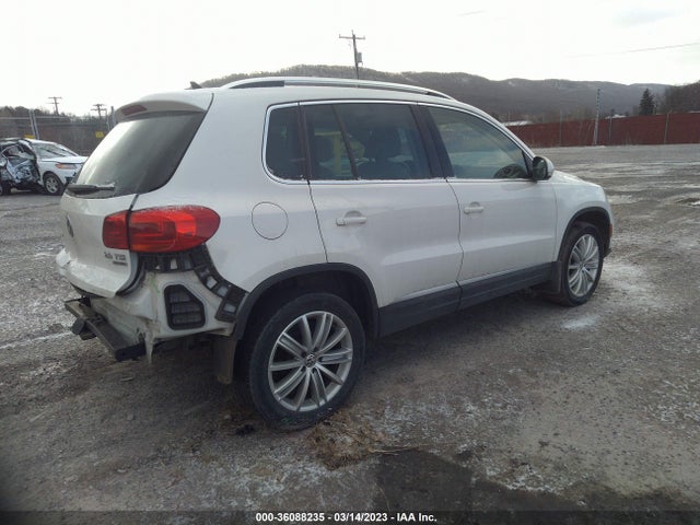 Volkswagen Tiguan 2013 WVGBV3AXXDW619419 Image 5
