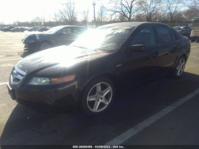 19UUA66216A001687 Acura TL
