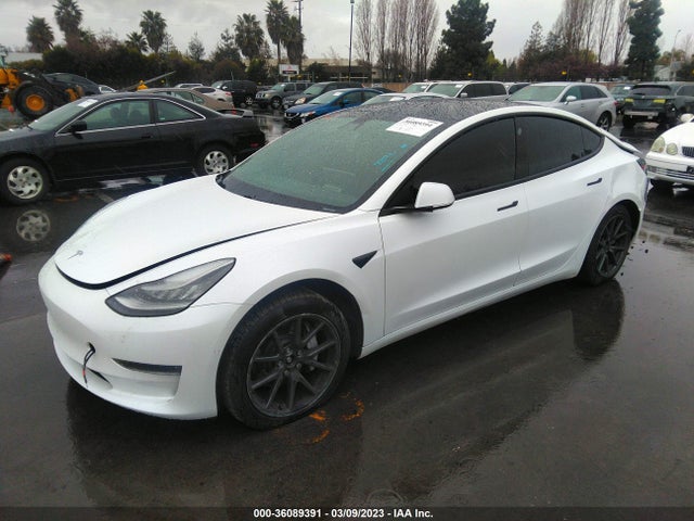 Tesla Model 3 Long Range/performance 2019 5YJ3E1EB8KF511474 Image 2