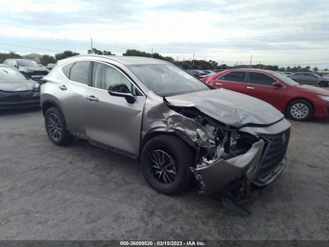 2023 Lexus NX, VIN: JTJADCAZ7P2006137