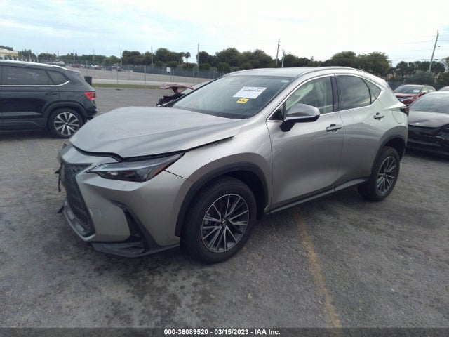2023 Lexus NX, VIN: JTJADCAZ7P2006137