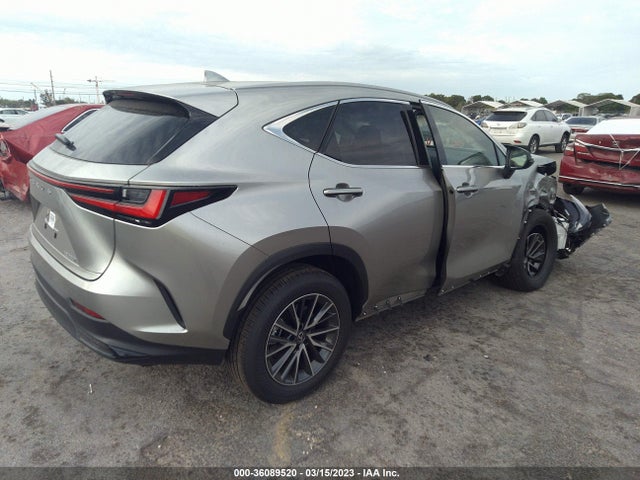 2023 Lexus NX, VIN: JTJADCAZ7P2006137