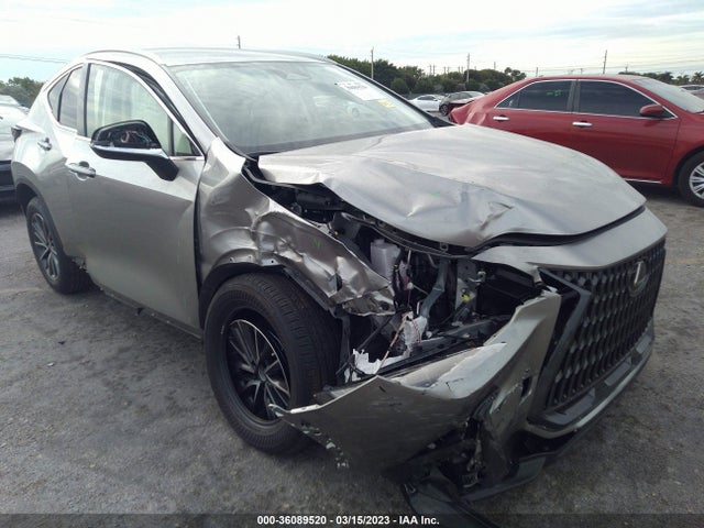 2023 Lexus NX, VIN: JTJADCAZ7P2006137