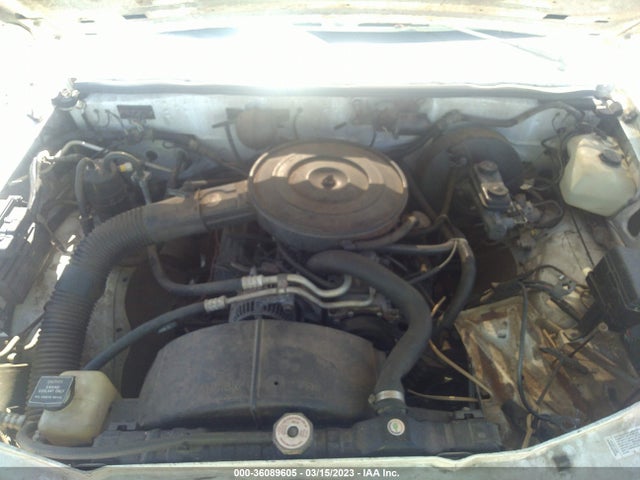 1994 DODGE DAKOTA VIN: 1B7FL26X0RW150119