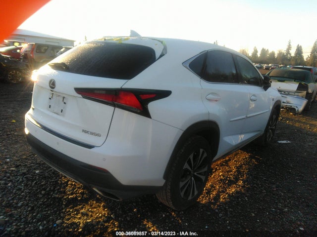 2018 Lexus NX, VIN: JTJBARBZ9J2159866