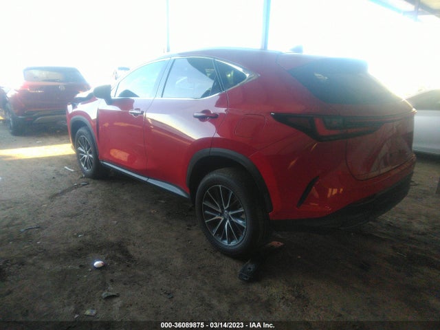 2023 Lexus NX, VIN: 2T2ADCAZ0PC003189