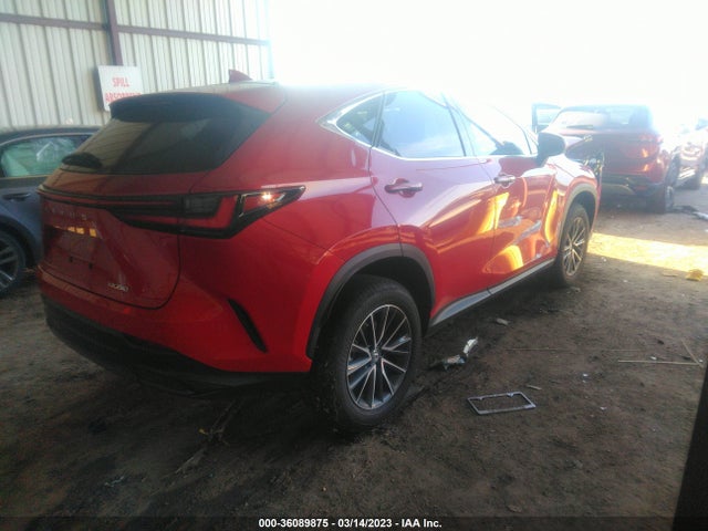 2023 Lexus NX, VIN: 2T2ADCAZ0PC003189