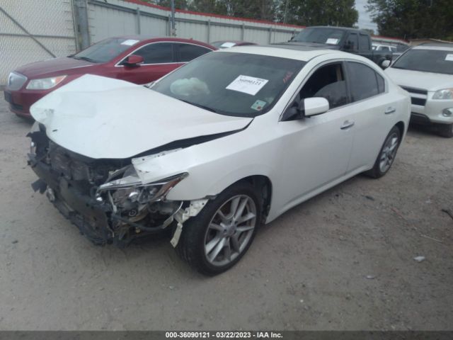 1N4AA5AP7EC463937 Nissan MAXIMA 3.5