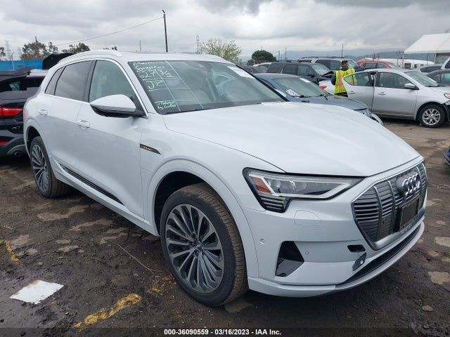 2019 Audi e-tron, VIN: WA1VABGEXKB009595