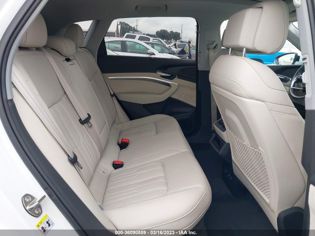 2019 Audi e-tron, VIN: WA1VABGEXKB009595