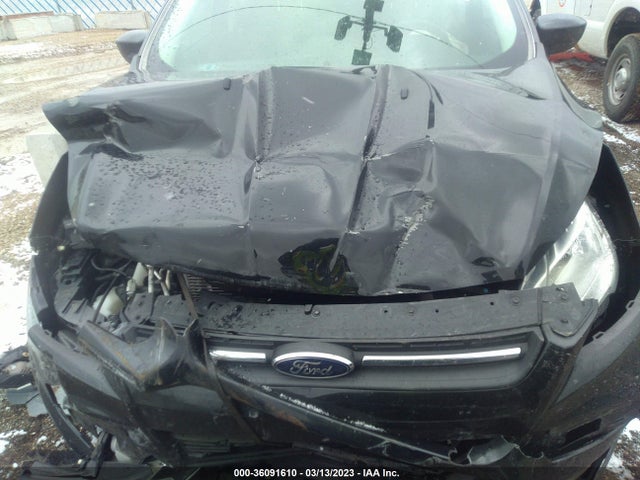 Ford ESCAPE SE 2015 1FMCU0GXXFUA59803 Image 11
