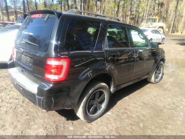 2011 FORD ESCAPE XLT VIN: 1FMCU0D78BKB25663
