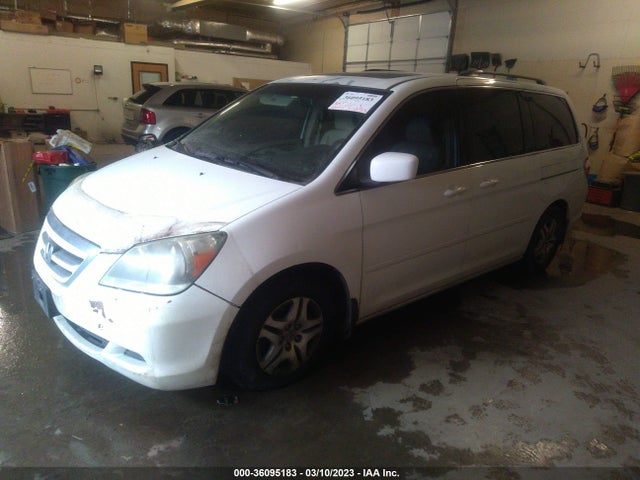 2007 HONDA ODYSSEY EX-L VIN: 5FNRL38797B414441