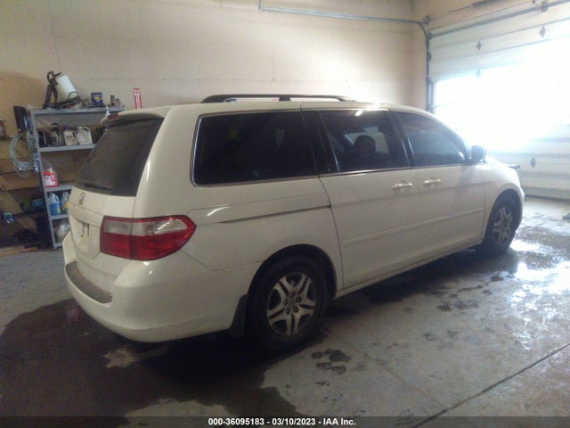 2007 HONDA ODYSSEY EX-L VIN: 5FNRL38797B414441