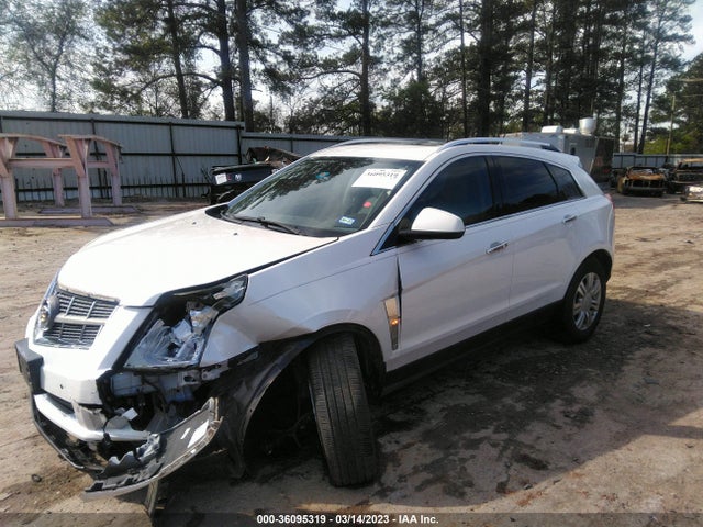 2012 CADILLAC SRX LUXURY COLLECTION VIN: 3GYFNAE31CS596862