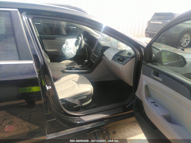 Hyundai SONATA SEL 2019 5NPE34AF9KH770498 Image 6