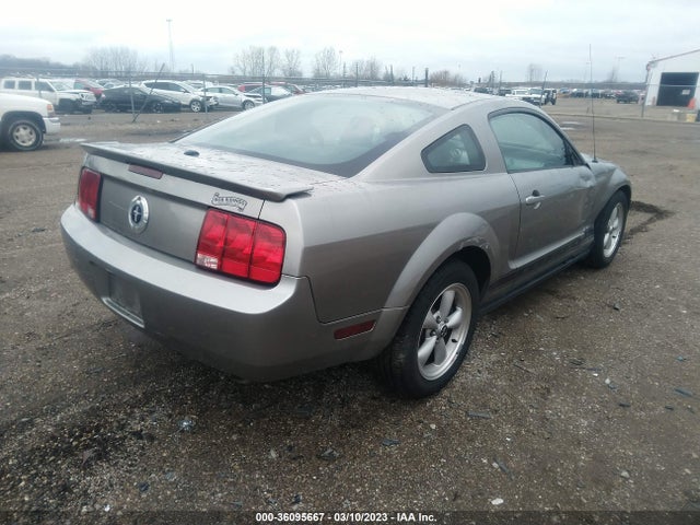 2009 FORD MUSTANG VIN: 1ZVHT80NX95101306