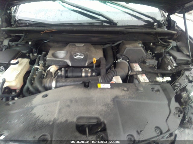 2020 Lexus NX, VIN: JTJAARBZ6L5003488