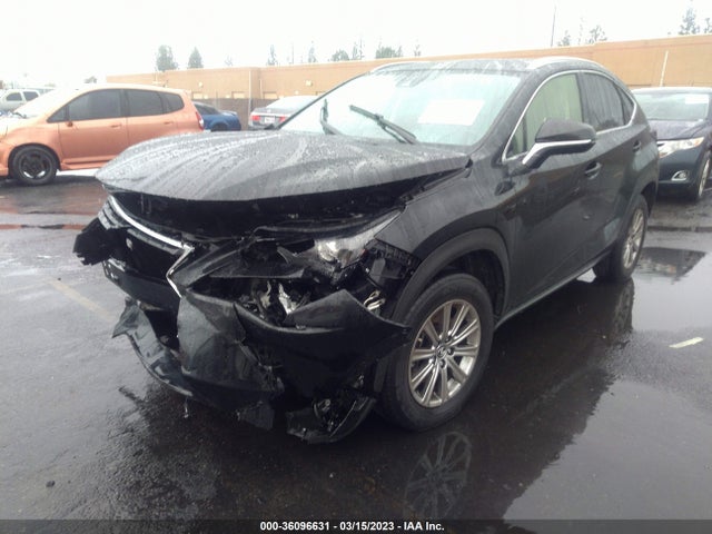 2020 Lexus NX, VIN: JTJAARBZ6L5003488