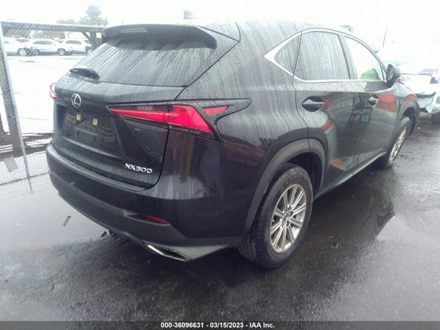 2020 Lexus NX, VIN: JTJAARBZ6L5003488