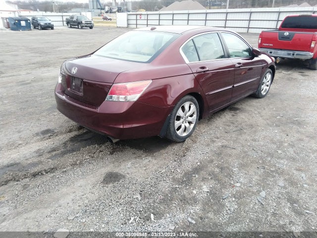 2010 HONDA ACCORD SDN EX-L VIN: 1HGCP2F88AA196185