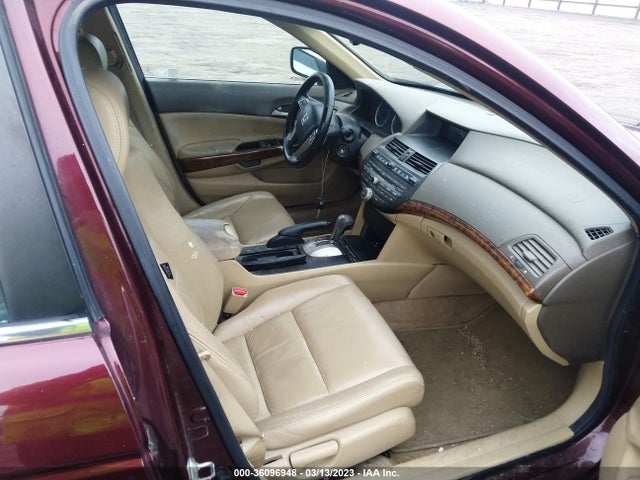 2010 HONDA ACCORD SDN EX-L VIN: 1HGCP2F88AA196185