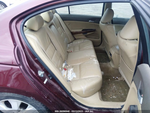 2010 HONDA ACCORD SDN EX-L VIN: 1HGCP2F88AA196185