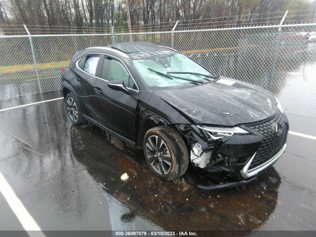 2021 Lexus UX, VIN: JTHP3JBHXM2042442