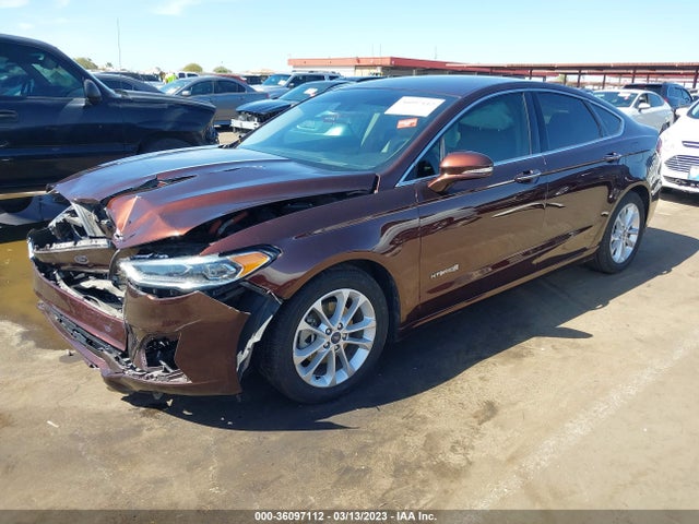 Ford Fusion Hybrid Sel 2019 3FA6P0MU6KR239838 Image 2