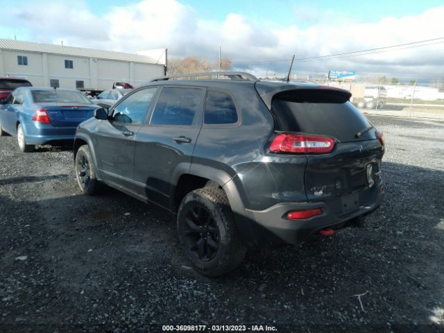 1C4PJMBS9HW656093 Jeep Cherokee Trailhawk