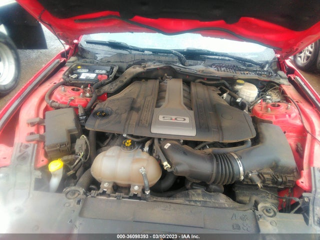 Ford MUSTANG GT 2019 1FA6P8CFXK5189904 Image 11