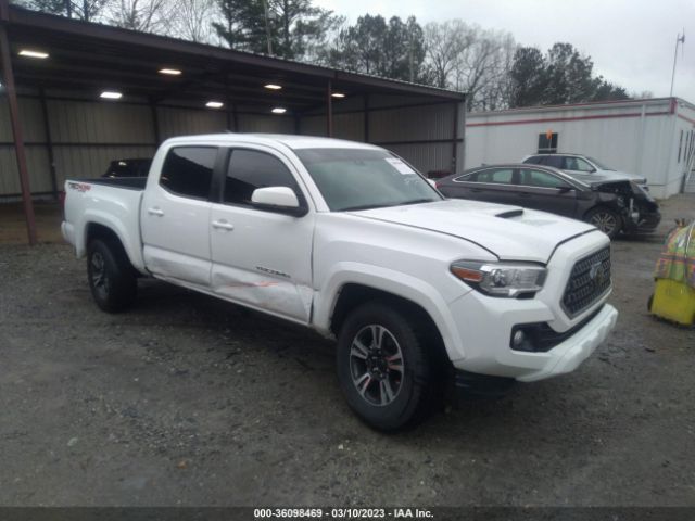 2019 5TFCZ5AN5KX172044 main image