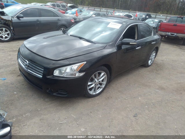 2010 NISSAN MAXIMA 3.5 SV W/PREMIUM PKG VIN: 1N4AA5AP2AC847277
