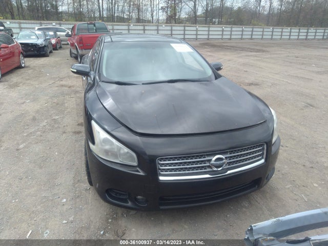 2010 NISSAN MAXIMA 3.5 SV W/PREMIUM PKG VIN: 1N4AA5AP2AC847277