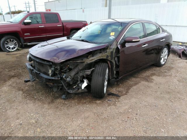 1N4AA5AP3EC447203 Nissan Maxima 3.5 Sv