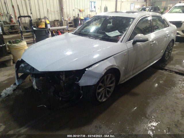 WAUFNAF44KA013145 Audi A4 Prestige